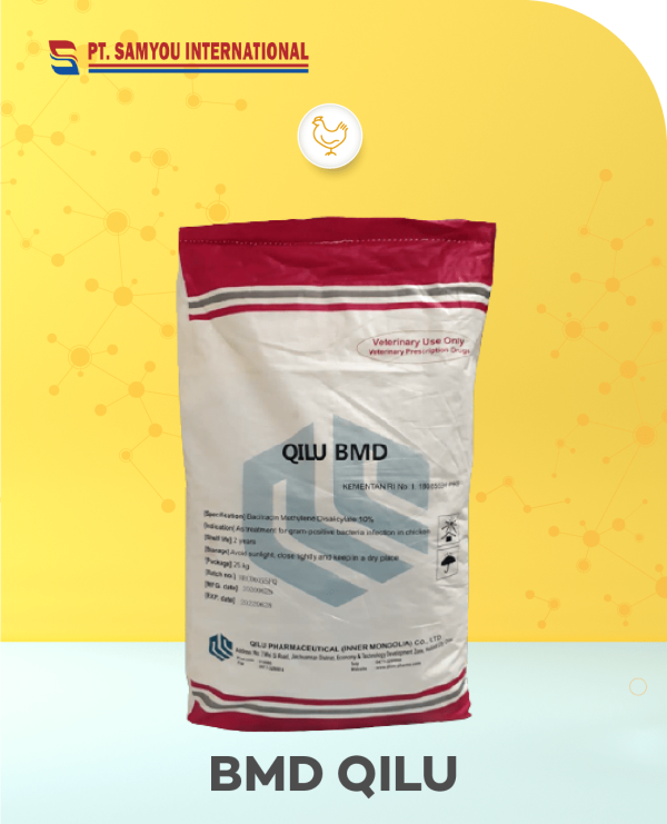 BMD (Bacitracin Methylene Disalicylate) QILU