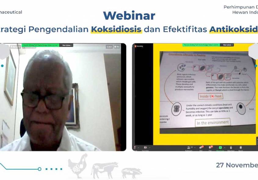 Webinar koksidiosis